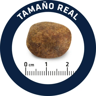 Сухий корм для собак для лабрадорів ретриверів Advance Labrador Retriever 12 кг (8410650171586)