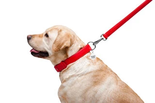 Поводок для собак кожаный WAUDOG Glamour, Ш 25 мм, Дл 122 см, красный