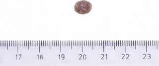 Сухий корм для дорослих собак малих порід Brit Care Dog Sustainable Adult Small Breed до 10 кг. курка з комахами 1кг.