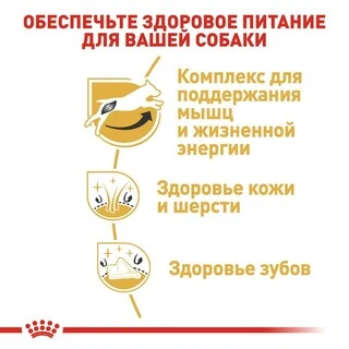 Сухой корм Royal Canin JACK RUSSEL ADULT для взрослых собак породы Джек Рассел Терьер 7.5 кг