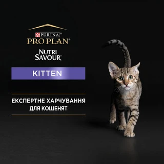 Упаковка влажного корма для котят Purina Pro Plan Kitten Nutrisavour с индейкой 26 шт. по 85 г