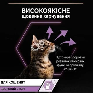 ПАК. Упаковка влажного корма для котят Pro Plan индейка мультипак (10x85)