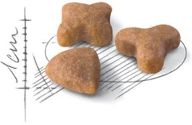 Сухой корм для котов от 1 года с чувствительным пищеварением Royal Canin Sensible 4 кг