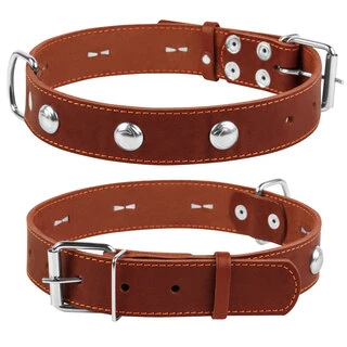 Ошейник &quot;CoLLaR&quot; одинарный с украшениями (ширина 35мм, длина 48-63см), коричневый