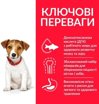 Сухий корм для цуценят малих і мініатюрних порід Hill&rsquo;s Science Plan Puppy Smal&amp;amp;Mini з куркою 6 кг