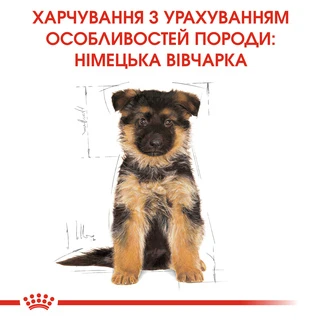 Сухой полнорационный корм для щенков Royal Canin German Shepherd Puppy собак породы немецкая овчарка в возрасте до 15 месяцев 12 кг