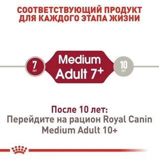 Сухий корм Royal Canin MEDIUM ADULT 7+ для старіючих собак Середніх порід 4 кг