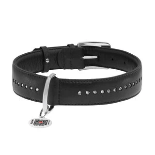 Нашийник для собак шкіряний WAUDOG Glamour з QR паспортом, подвійний зі стразами, Ш 25 мм, Дл 38-49 см, чорний