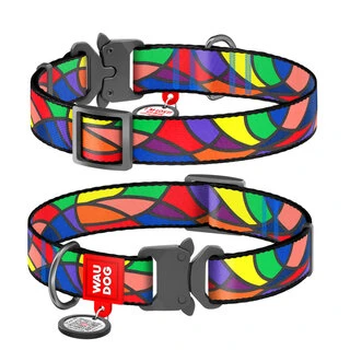 Нашийник для собак нейлоновий WAUDOG Nylon з QR паспортом, малюнок "Вітраж", металевий пряжка-фастекс, Ш 20 мм, Дл 24-40 см