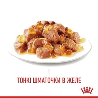 ПАК.Влажный корм для взрослых кошек Royal Canin HAIR&amp;SKIN IN JELLY (Желе) поддержание здоровья кожи и шерсти 12шт по 85 г