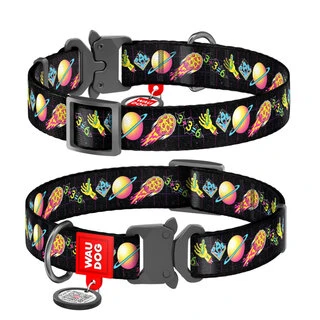 Ошейник для собак нейлоновый WAUDOG Nylon c QR паспортом, рисунок "Рик и Морти 3", металлическая пряжка-фастекс, S, Ш 15 мм, Дл 23-35 см
