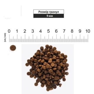 Сухий корм для дорослих котів Pronature Holistic Adult зі смаком атлантичного лосося та коричневого рису 2.72 кг