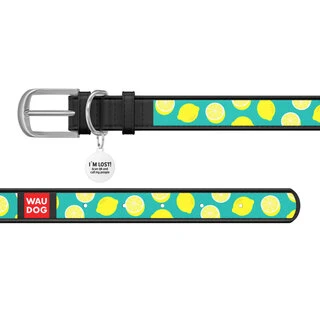 Нашийник WAUDOG Design з малюнком "Лимони", преміум шкіра, металевий пряжка (ширина 15 мм, довжина 27-36 см), чорний