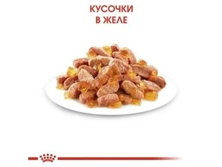 ПАК.Влажный корм Royal Canin KITTEN INSTINCTIVE IN JELLY (Желе) для котят 12 шт по 85 г