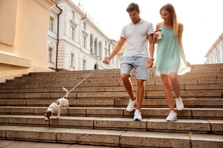 Поводок-рулетка для собак WAUDOG R-leash, круглая, XS-M, до 40 кг, 2,9 м, светоотражающая лента, белый