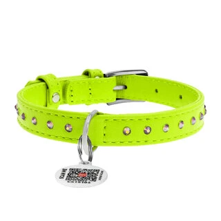 Нашийник для собак шкіряний WAUDOG Glamour з QR паспортом, з клейовими стразами, Ш 15 мм, Дл 27-36 см, салатовий