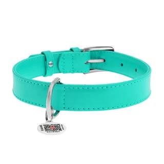 Нашийник для собак шкіряний WAUDOG Glamour з QR паспортом, без прикрас, Ш 20 мм, Дл 30-39 см, ментоловий