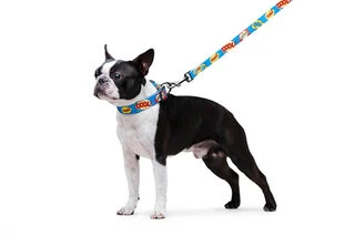 Поводок для собак нейлоновый WAUDOG Nylon, рисунок "ВАУ", Ш 20 мм, Дл 122 см