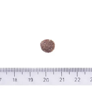 Корм для собак з підвищеною активністю Brit Care Dog Sustainable Activity з куркою та комахами 12 кг (8595602559220)