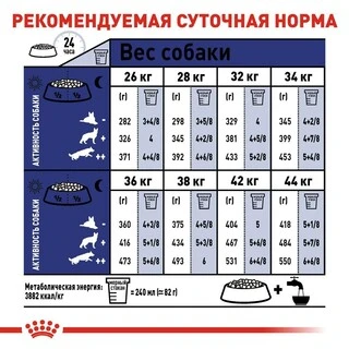 Сухий корм Royal Canin MAXI AGEING 8+ для старіючих собак Великих порід 15 кг