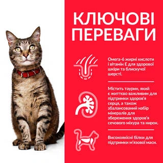 Корм Hill's Science Plan Feline Adult Chicken сухий з куркою для дорослих котів 0.3 кг