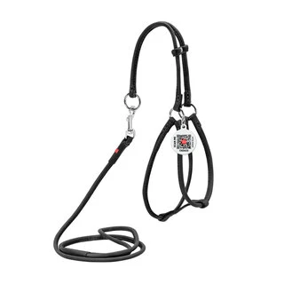 Шлея з повідцем для собак шкіряна WAUDOG Soft з QR паспортом, кругла, Д 6 мм, А 42-60 см, В 46-64 см, чорна