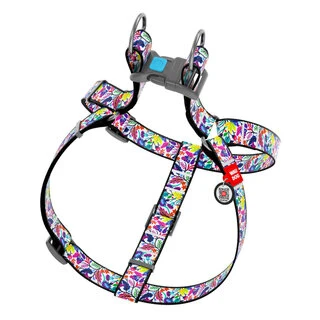 Анатомічний нашийник для собак WAUDOG Nylon з QR паспортом, малюнок "Чарівні квіти", пластиковий фастекс, Ш 25 мм, Дл 60-90 см