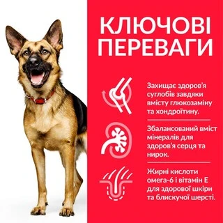 Сухой корм для зрелых собак больших пород от 6 лет Hill&rsquo;s Science Plan Mature Adult 6+ Large Breed с курицей 14 кг