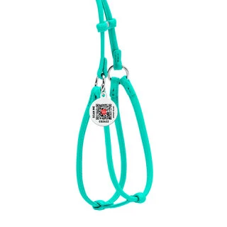 Шлея з повідцем для собак шкіряна WAUDOG Glamour з QR паспортом, кругла, Д 6 мм, А 26-46 см, В 30-50 см, ментоловий