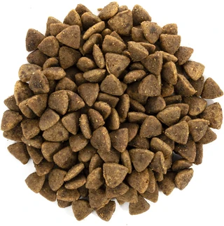 Сухий корм для котів, що живуть на вулиці Brit Care Cat GF Adult Activity Support з куркою та індичкою 2 кг