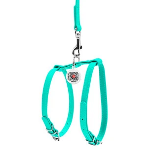 Шлея с поводком для собак кожаная WAUDOG Glamour c QR паспортом, Ш 12 мм, А 25-33 см, В 35-43 см, ментоловый