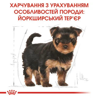 Сухой полнорационный корм для щенков Royal Canin Yorkshire Terrier Puppy породы йоркширский терьер возрасте от 2 до 10 месяцев 500 г