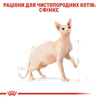 Сухий корм для дорослих кішок Royal Canin Sphynx Adult 2 кг