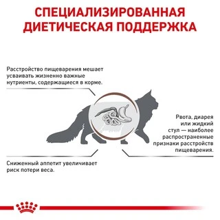 Сухой корм Royal Canin GASTROINTESTINAL CAT для взрослых кошек,  при острых расстройствах пищеварения 400 г