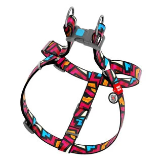 Анатомічний нашийник для собак WAUDOG Nylon з QR паспортом, малюнок "Графіті", пластиковий фастекс, Ш 20 мм, Дл 50-80 см