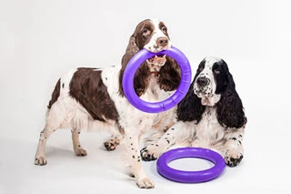 Тренировочный снаряд для собак PULLER Standard, диаметр 28см