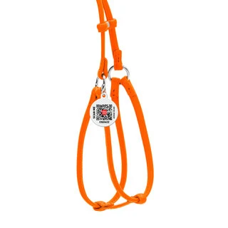 Шлея з повідцем для собак шкіряна WAUDOG Glamour з QR паспортом, кругла, Д 6 мм, А 42-60 см, В 46-64 см, оранжева
