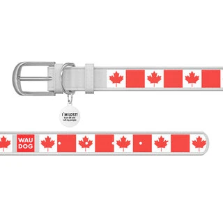 Ошейник WAUDOG Design с рисунком "Кленовый лист", премиум кожа, металлическая пряжка (ширина 12 мм, длина 21-29 см), белый