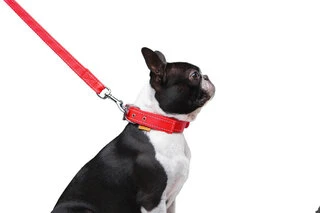 Поводок "Dog Extremе" нейлоновый двойной (ширина 20мм, длина 122см), красный