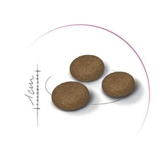 Сухой корм для собак мелких пород Royal Canin Mini Adult для взрослых собак 800 г