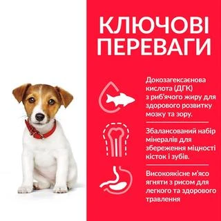 Hill&rsquo;s SCIENCE PLAN Puppy Smal&amp;amp;Mini Сухий корм для цуценят малих і мініатюрних порід, з ягням і рисом, 0,3 кг