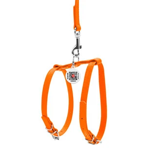 Шлея з повідцем для собак шкіряна WAUDOG Glamour з QR паспортом, Ш 12 мм, А 25-33 см, В 35-43 см, помаранчева