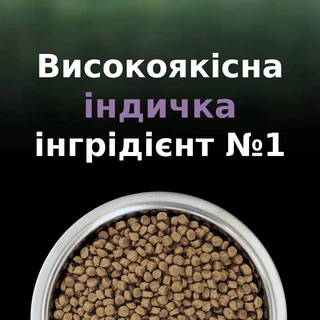 Сухий повнораціонний корм для кошенят Purina Pro Plan LiveClear для зменшення алергенів на шерсті з індичкою 1.4 кг