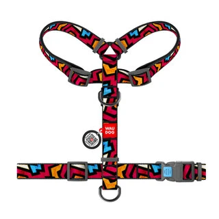 Анатомічна H-подібна шлея для собак WAUDOG Nylon з QR-паспортом, малюнок "Графіті", пластиковий фастекс, L, Ш 25 мм, А 50-90, В 60-100