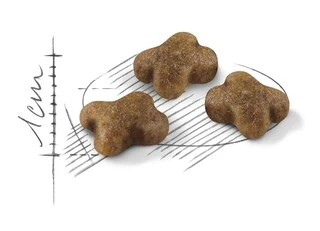 Сухий корм Royal Canin Kitten для кошенят від 4 до 12 місяців 2 кг (НФ-00000202)