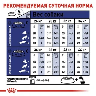 Сухий корм Royal Canin MAXI ADULT 5+ для старіючих собак Великих порід 15 кг