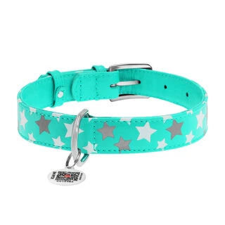 Ошейник для собак кожаный WAUDOG Glamour с QR паспортом, узор "Звёздочка", светящийся/светоотражающий, Ш 25 мм, Дл 38-49 см, ментоловый