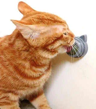 Кошачья мята шарик - лизун игрушка для котов Вкусняшка CatNip синий