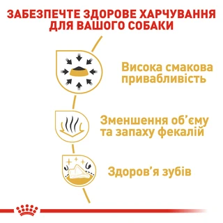 Сухой полнорационный корм для взрослых собак породы чихуахуа Royal Canin Chihuahua Adult возрасте от 8 месяцев и старше 1.5 кг