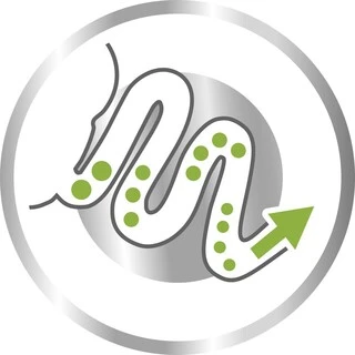 Сухий корм Royal Canin X-Small Adult для собак малих порід від 10 місяців 1,5 кг (НФ-00000273)